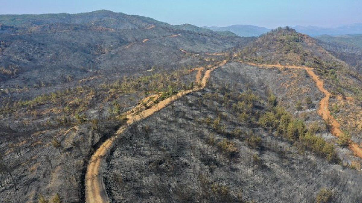 SON DAKİKA: Tarım ve Orman Bakanı, Marmaris’teki Yangının Kontrol Altına Alındığını Duyurdu