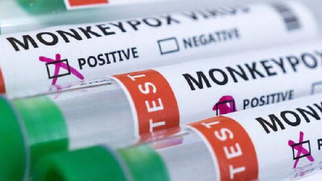 Maymun Çiçeği Virüsünün Çok Büyük Bir Hızla Mutasyona Uğradığı Keşfedildi