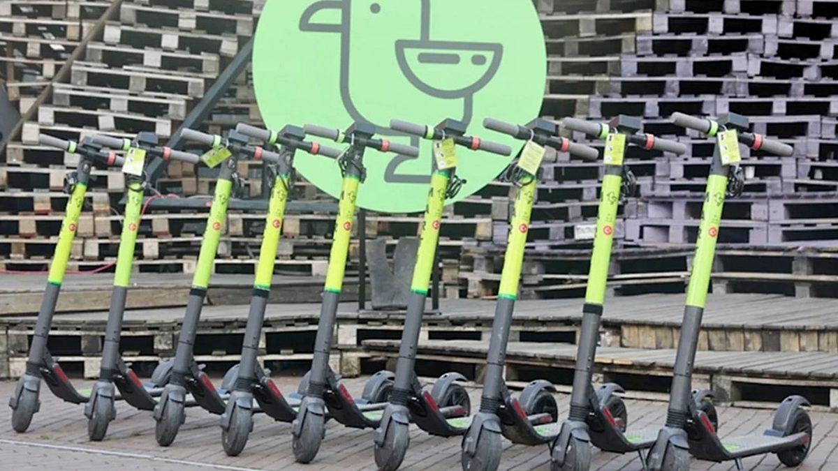 Martı Scooter Kepenklerine Kilitlenince Dükkanını Kapatamayan Ressam Sosyal Medyada Gündem Oldu