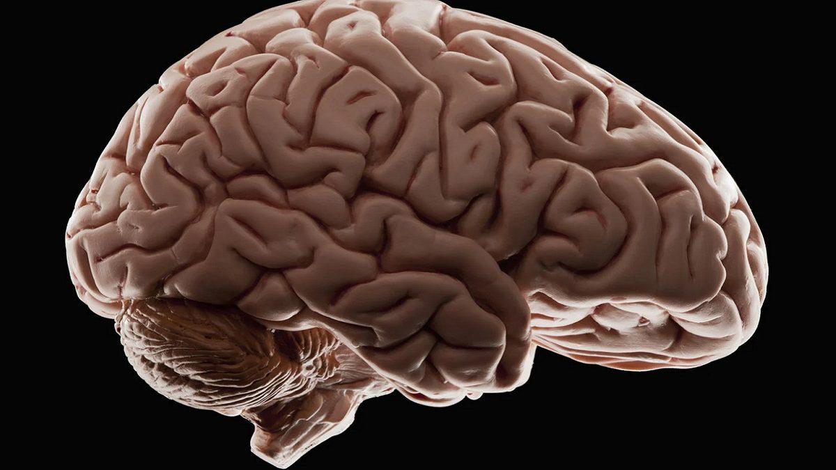 ’Zihnimizi Bilgisayara Aktarmak’ Bir Gün Mümkün Olacak mı?