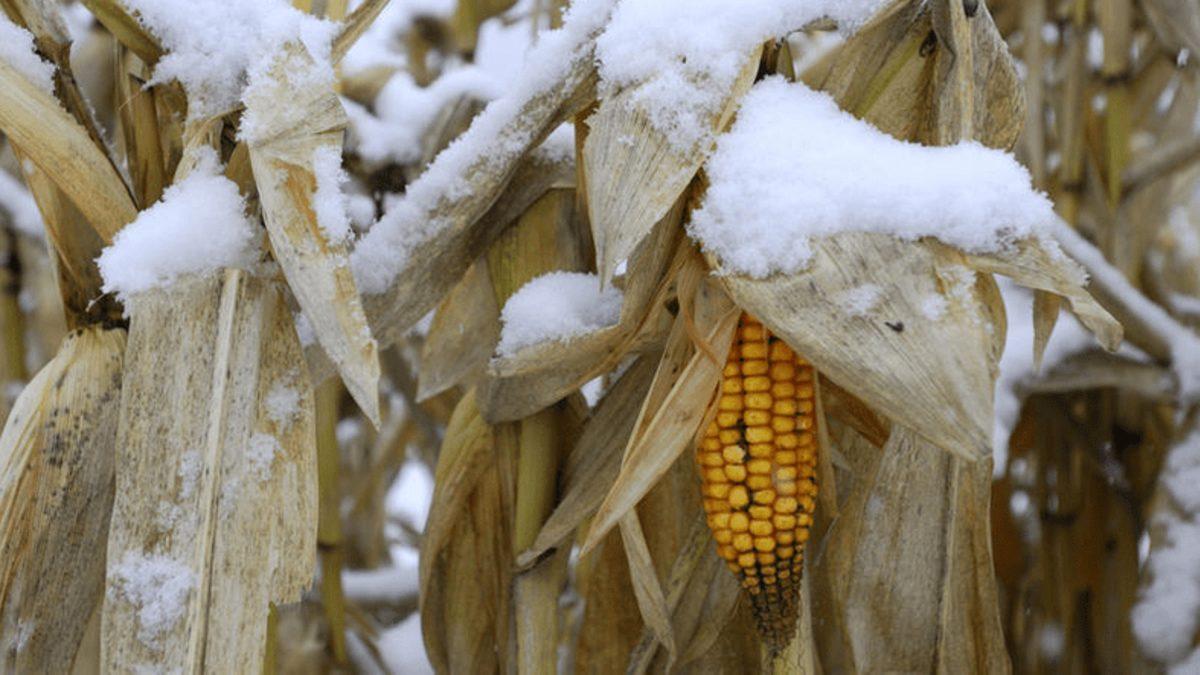 1816 Yılında Ne Oldu da Yaz Mevsimi Yaşanmadı?