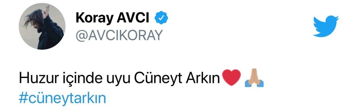 Türk Sinemasının İlk Süper Kahramanı Cüneyt Arkın Hayatını Kaybetti: Sanat Dünyası Yasta!