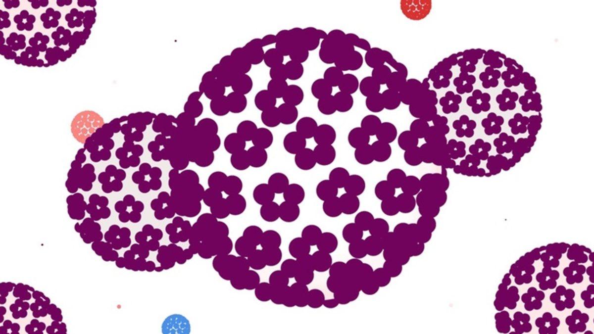 Cinsel Yolla Bulaşan ve Hem Kadınlar Hem Erkekler İçin Tehlike Arz Eden HPV Hakkında Bilmeniz Gerekenler