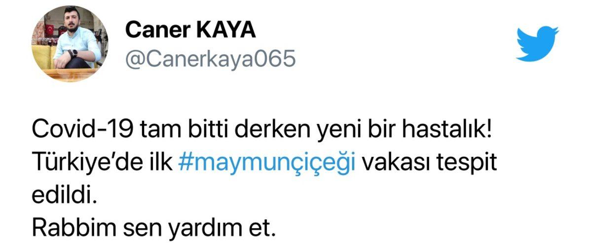 SON DAKİKA: Türkiye’de İlk Maymun Çiçeği Vakası Görüldü