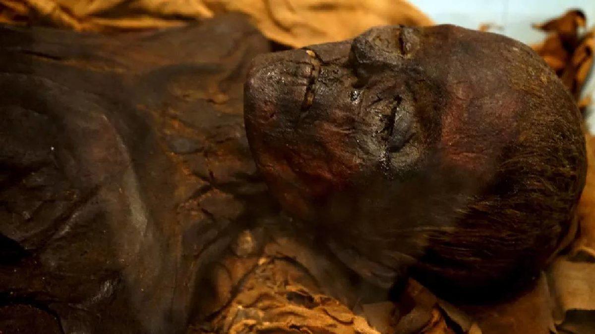 Avrupa’nın Göbeğinde Yüzlerce Yıl Devam Eden Yamyamlık: İlaç Niyetine Mumya Yiyip Kan İçmek…