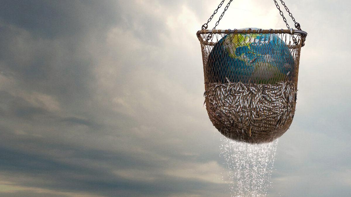 Netflix Belgeseli Seaspiracy’deki ’Okyanuslar 2048’de Neredeyse Bomboş Olacak’ İddiası Ne Kadar Doğru?