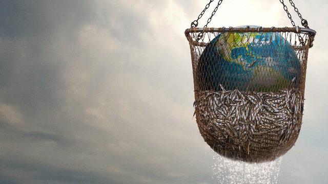 Netflix Belgeseli Seaspiracy’deki ’Okyanuslar 2048’de Neredeyse Bomboş Olacak’ İddiası Ne Kadar Doğru?