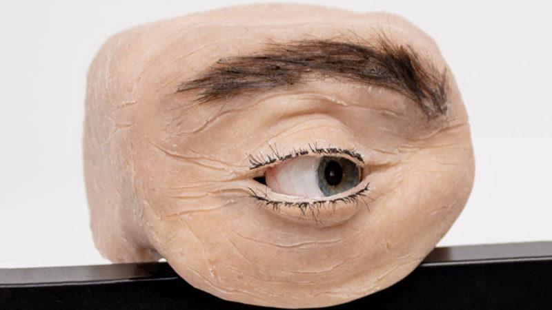 Anksiyetesi Olan Bakmasın: Kullanıcıyı Gerçek Bir Göz Gibi Takip Edebilen Web Kamera