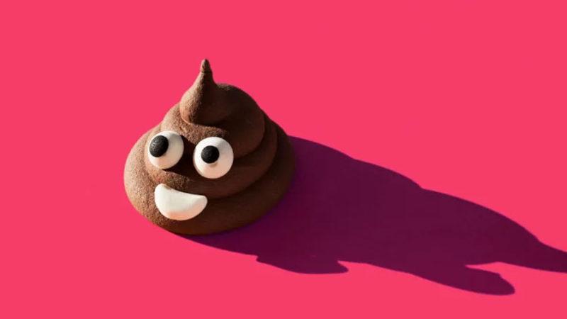 Bilim İnsanlarından Mide Bulandıran Öneri: Kakamızı Bankalarda Saklamalıyız (Peki Neden?)