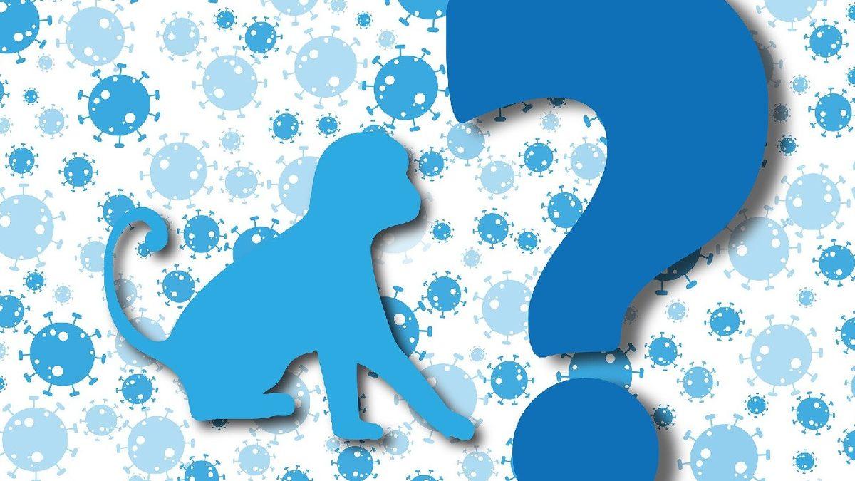 Dünya Sağlık Örgütü’nden Korkutan Açıklama: Maymun Çiçeği Vakaları Artmaya Devam Ediyor!