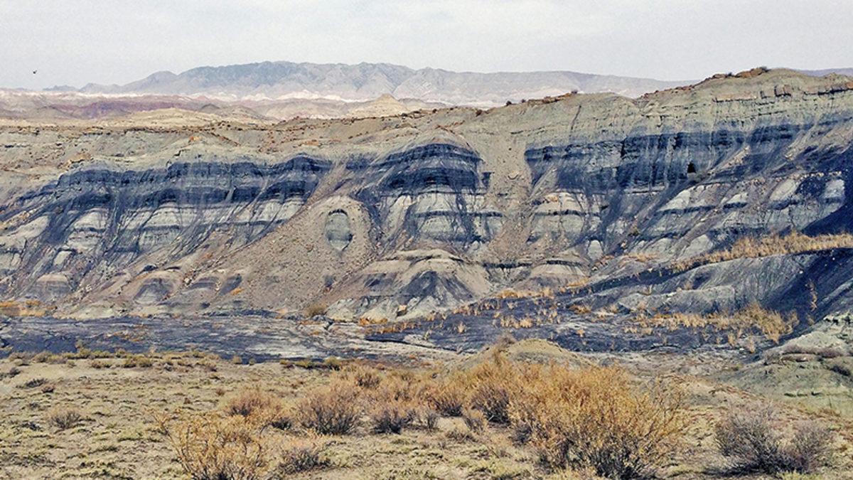 Dinozorların Buzul Çağında da Yaşadığı Ortaya Çıktı: İki Kere Soyları Tükenmiş