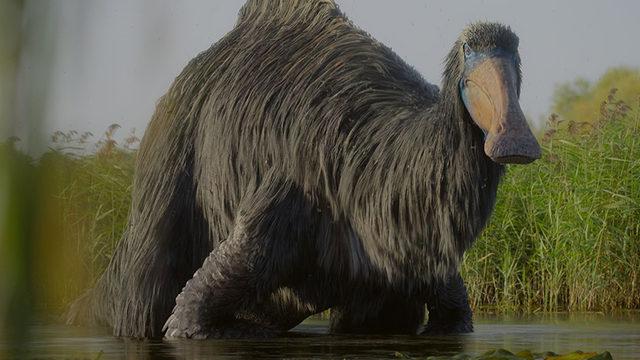 Dinozorların Buzul Çağında da Yaşadığı Ortaya Çıktı: İki Kere Soyları Tükenmiş