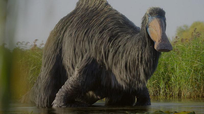 Dinozorların Buzul Çağında da Yaşadığı Ortaya Çıktı: İki Kere Soyları Tükenmiş