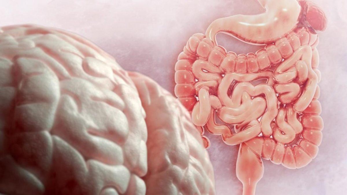 Sadece Düşünme Şekliniz Bile Vücudunuzu Hasta Edebilir veya İyileştirebilir! Peki ama Nasıl?