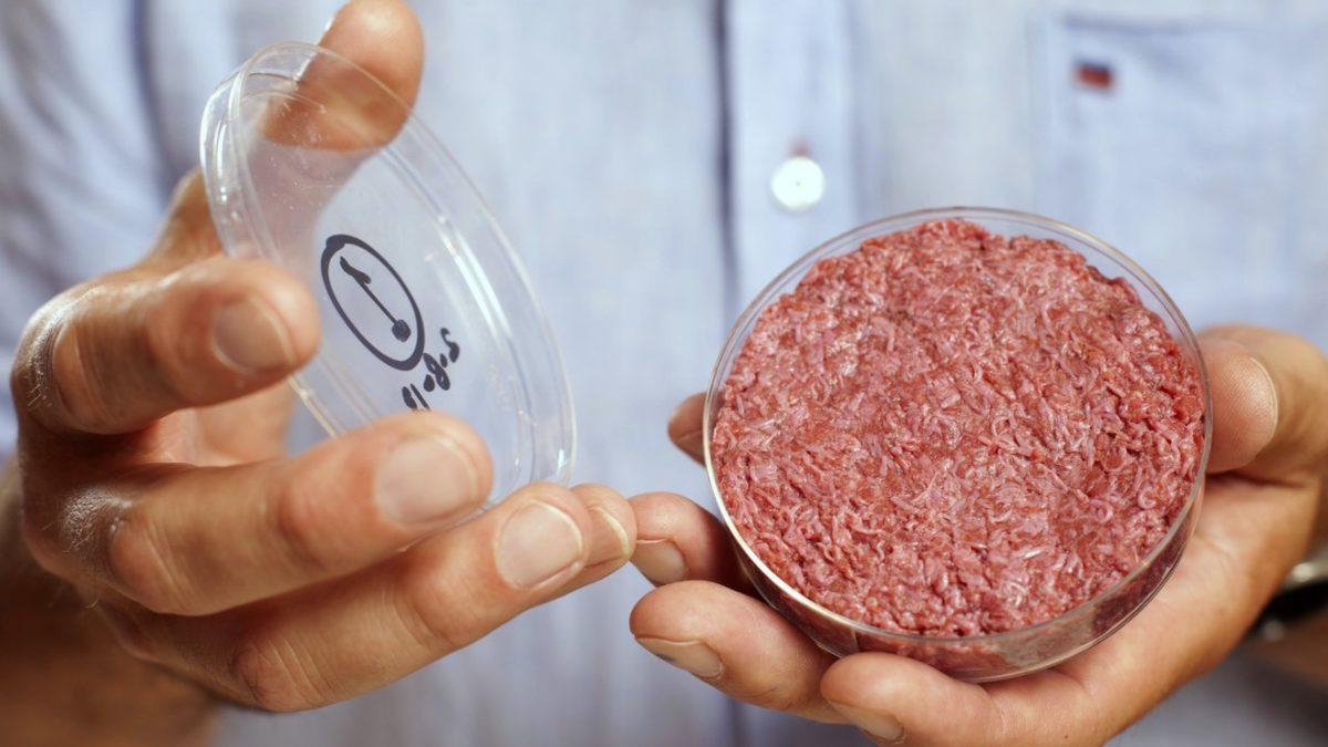 En Çok Et Üretilen Bölgeler ve Tüketen Ülkeler Açıklandı: Her Yıl 77 Milyar Hayvan, Eti İçin Öldürülüyor