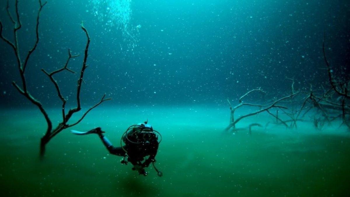 Dünyanın ’Neredeyse Tamamını’ Kaplayan Okyanuslar Hakkında 10 Şaşırtıcı Gerçek