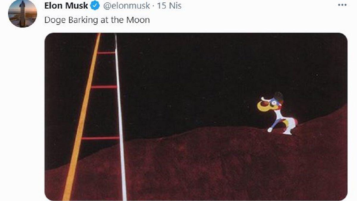 Elon Musk’ın Favorisi Olan Dogecoin, Değerini Bir Günde Üçe Katladı