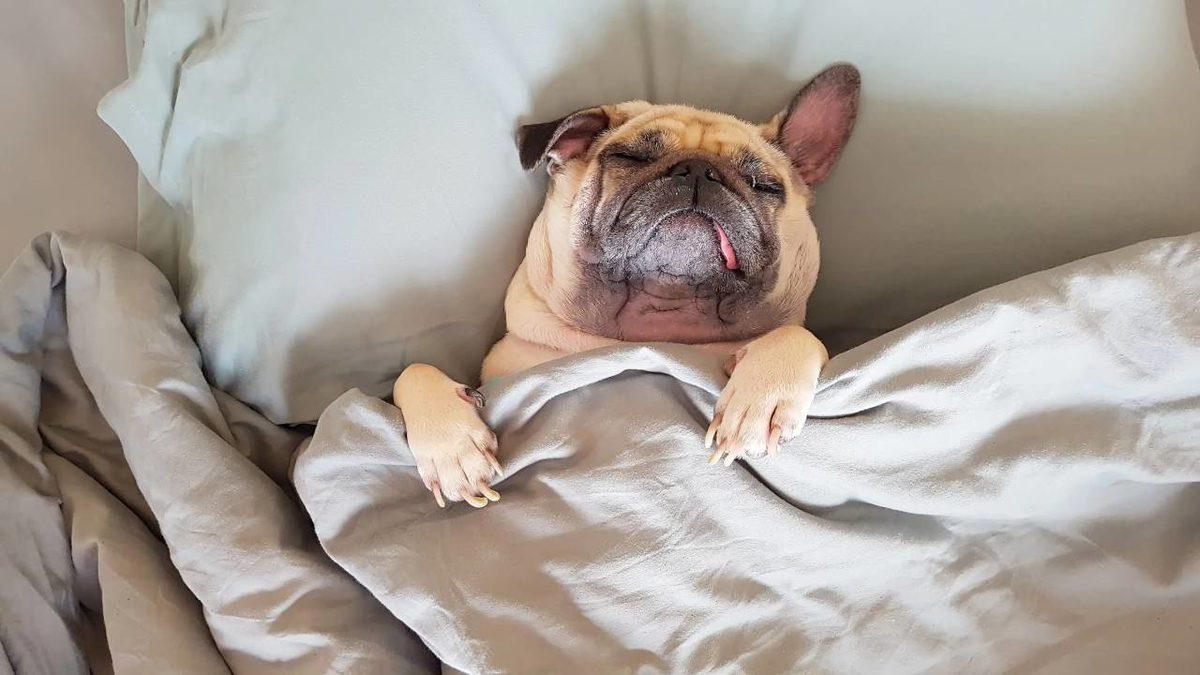 Dünyanın En Uykusuz Ülkeleri Belli Oldu: Bu Kez Bayrakları Rüyamızda Asıyoruz!