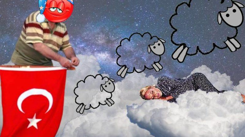 Dünyanın En Uykusuz Ülkeleri Belli Oldu: Bu Kez Bayrakları Rüyamızda Asıyoruz!