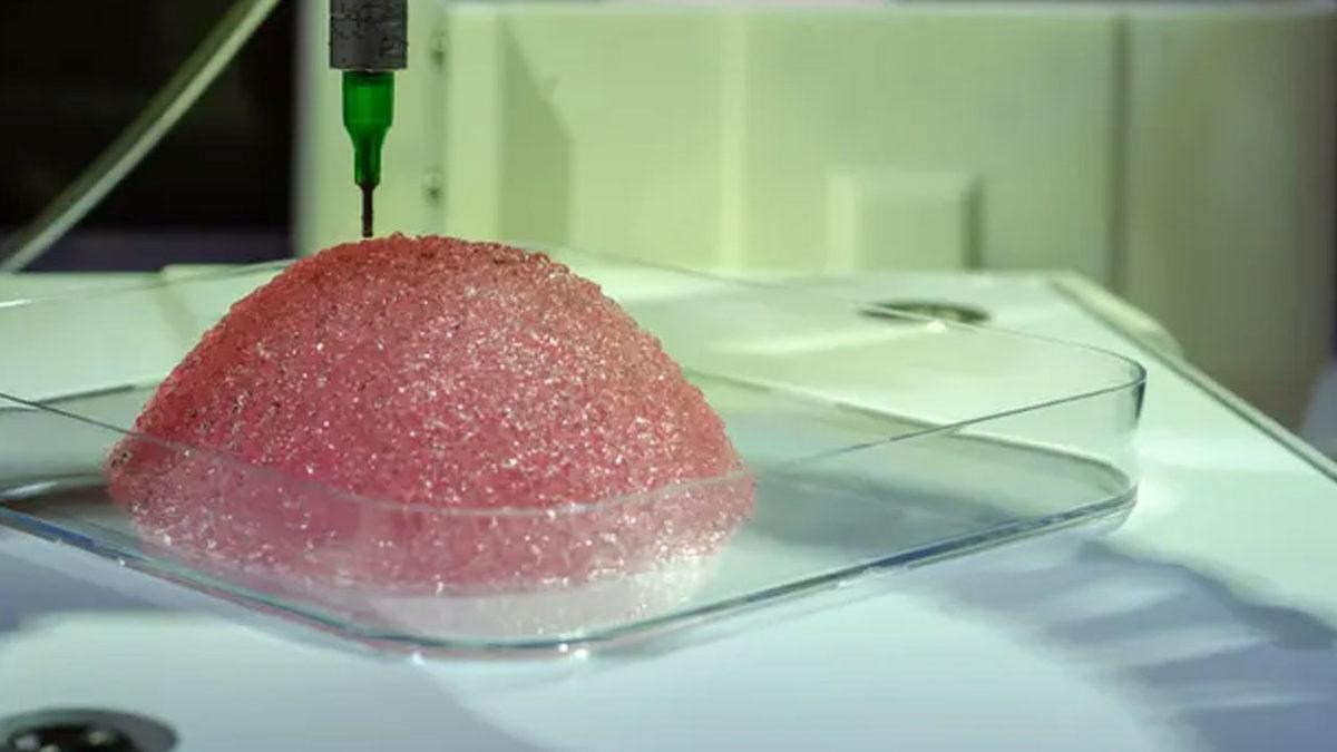 Silikon Meme Devri Bitiyor: Vücudun Doğal Meme Üretmesi Sağlanacak! Peki Ama Nasıl?