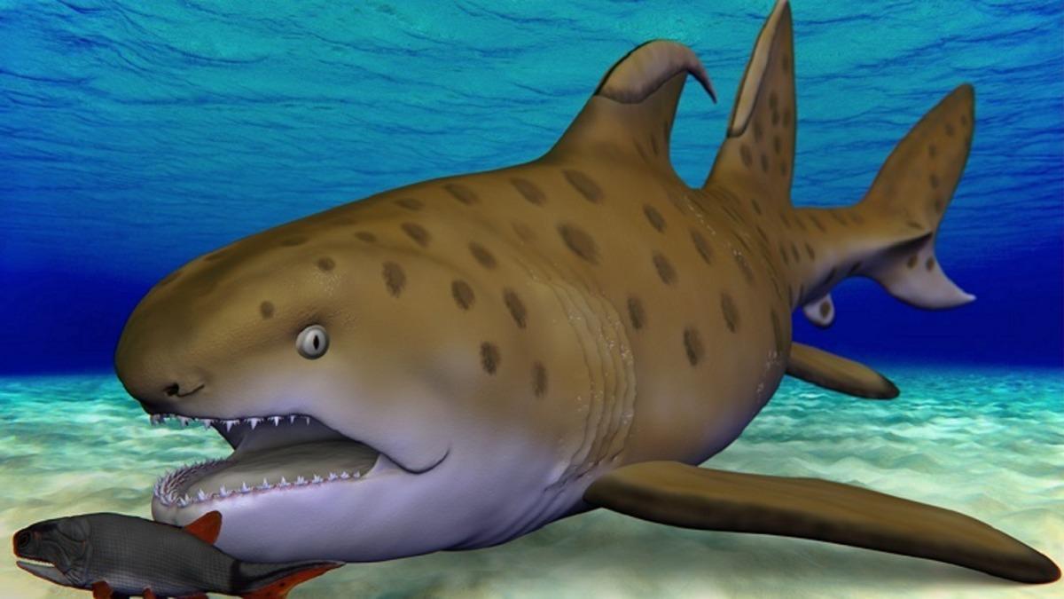 300 Milyon Yıl Önce Yaşayan Köpek Balığı Godzilla Shark, Yeni Bir Tür Olarak Yeniden İsimlendirildi