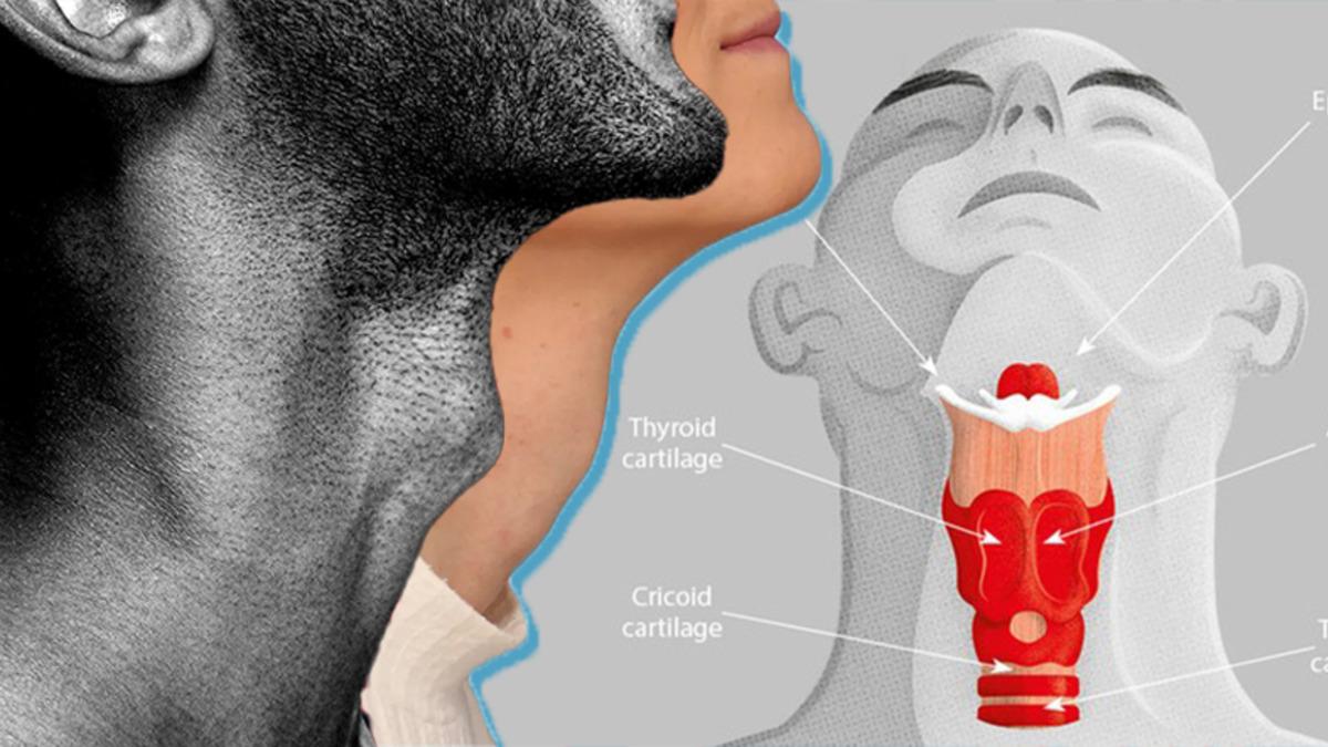 Aslında Kadınlarda da Âdemelması Var: Peki Neden Erkeklerdeki Kadar İri Görünmüyor?