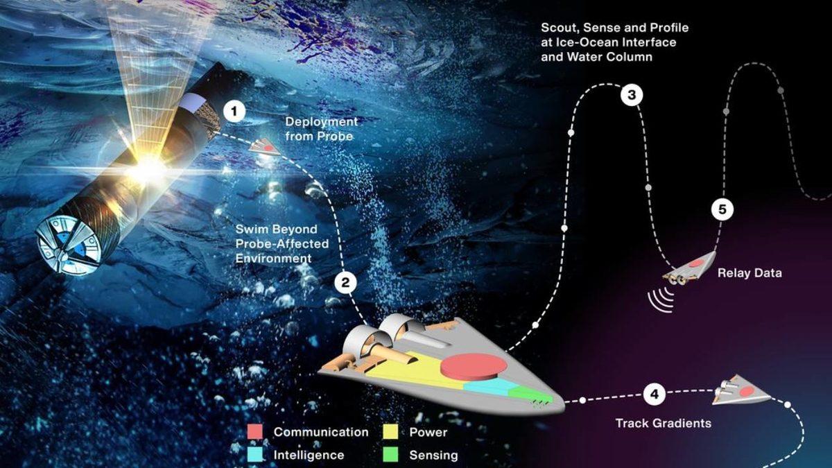 Uzayda Neler Oluyor? Son 1 Ayda Yapılan 10 Önemli Uzay Keşfini ve Gelişmeleri Özetledik!