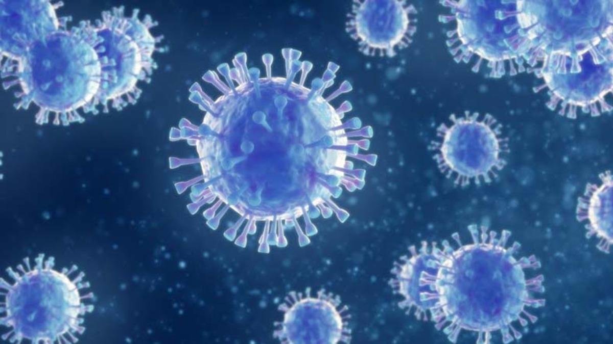 Türkiye’de COVID-19 Vakalarının Nisan Ayından İtibaren Korkunç Bir Şekilde Arttığını Gösteren Grafik