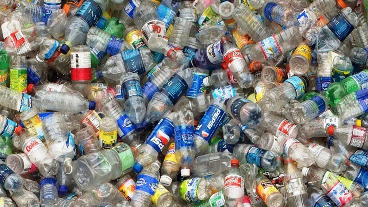 Su Şişelerinin Üzerinde Neden ’Son Kullanma Tarihi’ Yazar? Sular Gerçekten de Bayatlar mı?