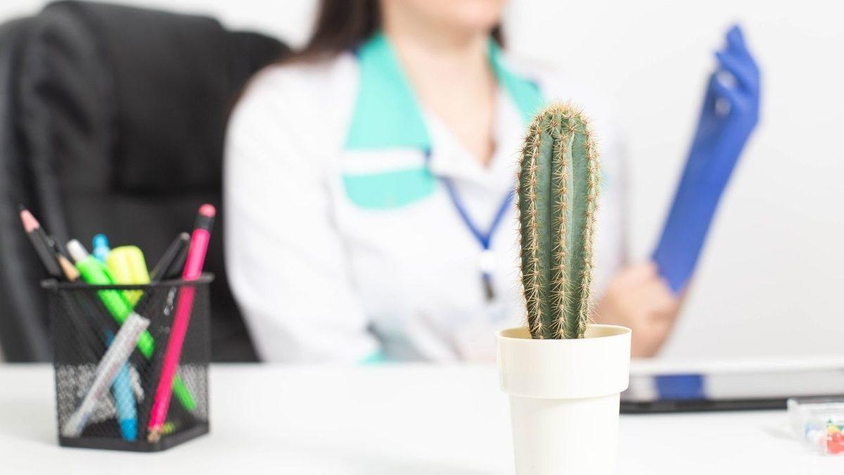 Halk Arasında ’Bağırsak Düğümlenmesi’ Olarak Bilinen Hastalık Volvulus Aslında Neden Ciddi Bir Rahatsızlık?