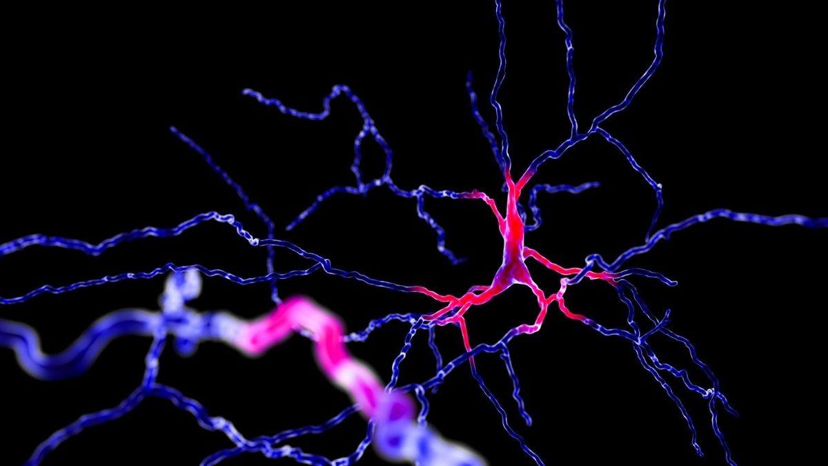 Hafızamızdan Ruh Halimize Kadar Her Şeyimizi Etkileyen Hormon: ’Dopamin’ Aslında Nedir, Eksikliği Nelere Yol Açar?