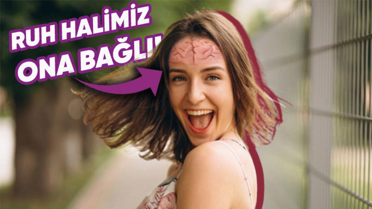 Hafızamızdan Ruh Halimize Kadar Her Şeyimizi Etkileyen Hormon: ’Dopamin’ Aslında Nedir, Eksikliği Nelere Yol Açar?