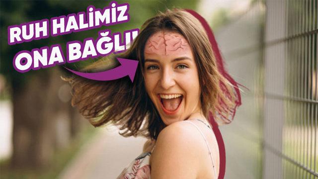 Hafızamızdan Ruh Halimize Kadar Her Şeyimizi Etkileyen Hormon: ’Dopamin’ Aslında Nedir, Eksikliği Nelere Yol Açar?