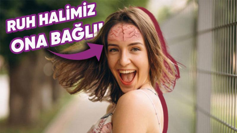 Hafızamızdan Ruh Halimize Kadar Her Şeyimizi Etkileyen Hormon: ’Dopamin’ Aslında Nedir, Eksikliği Nelere Yol Açar?