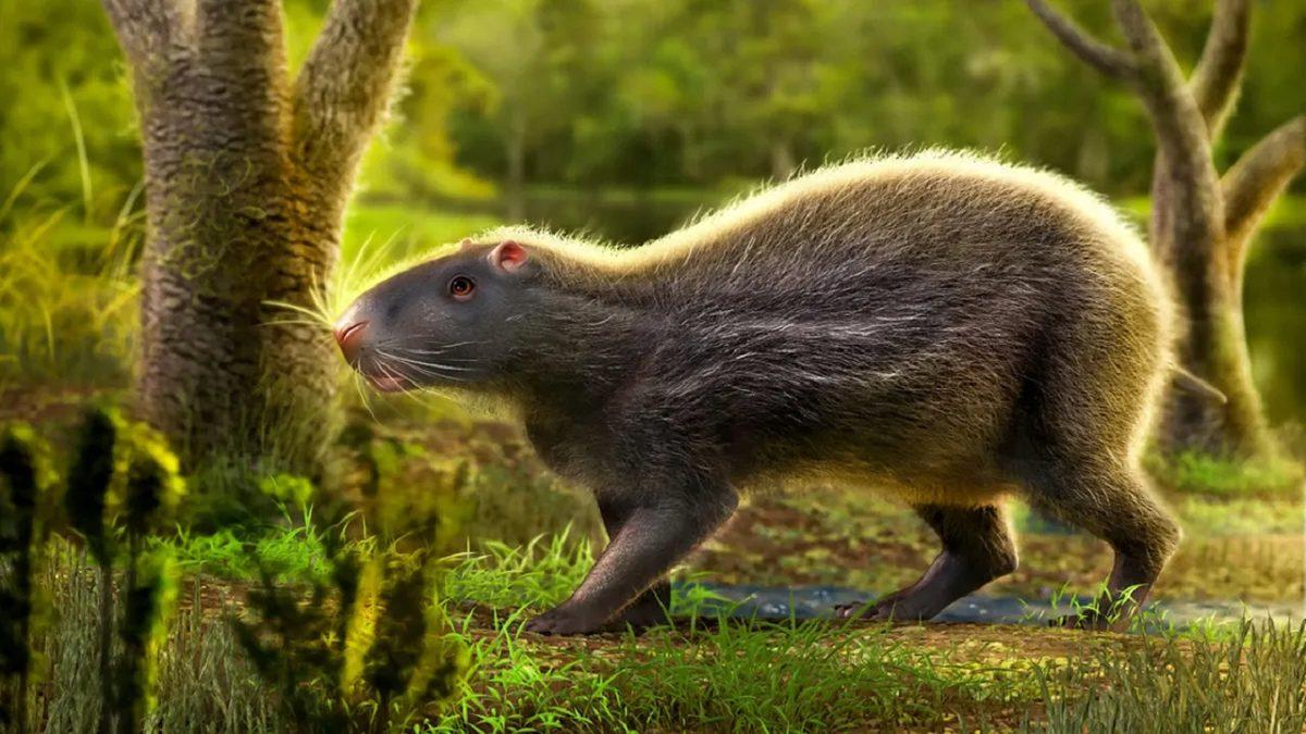 Kirpiler Ne Yer, Nerede Yaşar? Bu Sevimli Canlılar Hakkında Bilmeniz Gereken Her Şey