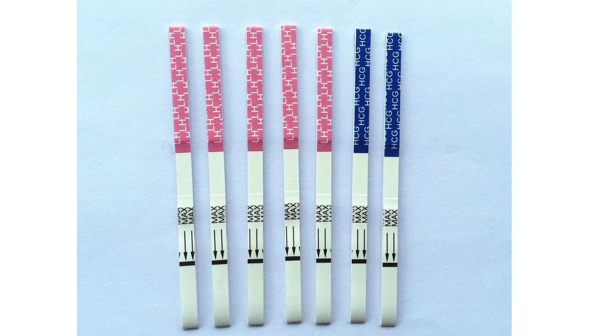 Ovulasyon Testi Nedir, Nasıl Kullanılır?