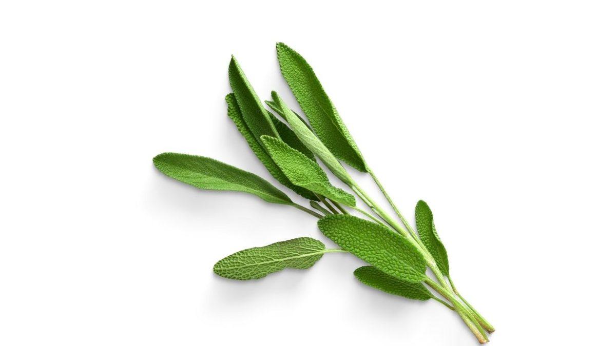 Bebeklerde Pişiğe Ne İyi Gelir?