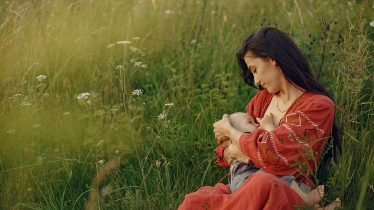 Annelerde Süt Yapan Yiyecekler Nelerdir?