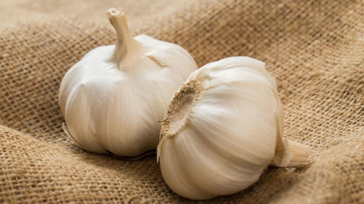 Annelerde Süt Yapan Yiyecekler Nelerdir?