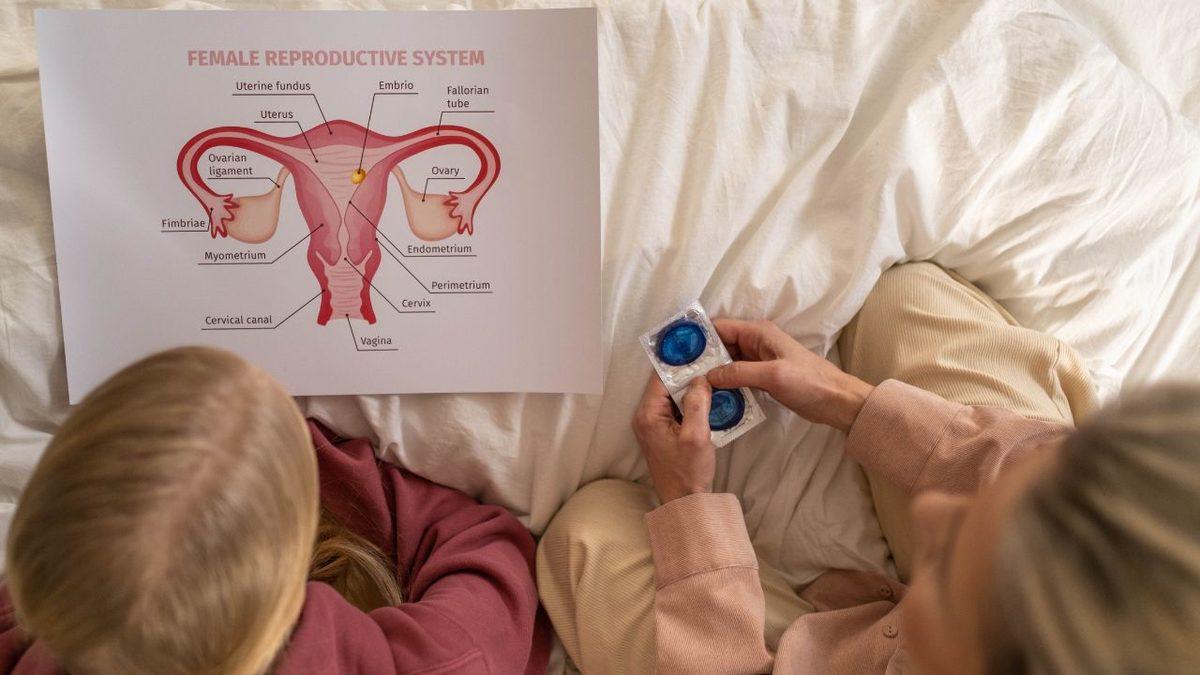 Anne Karnındaki Bebeği Aylarca Tok ve Sağlıklı Tutan ’Plasenta’ Nedir? İşte Plasenta Hakkında 11 Enteresan Bilgi