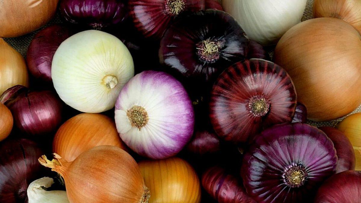 Öksürük ve Nefes Darlığı ile Hayattan Bezdiren Bronşite Ne İyi Gelir?