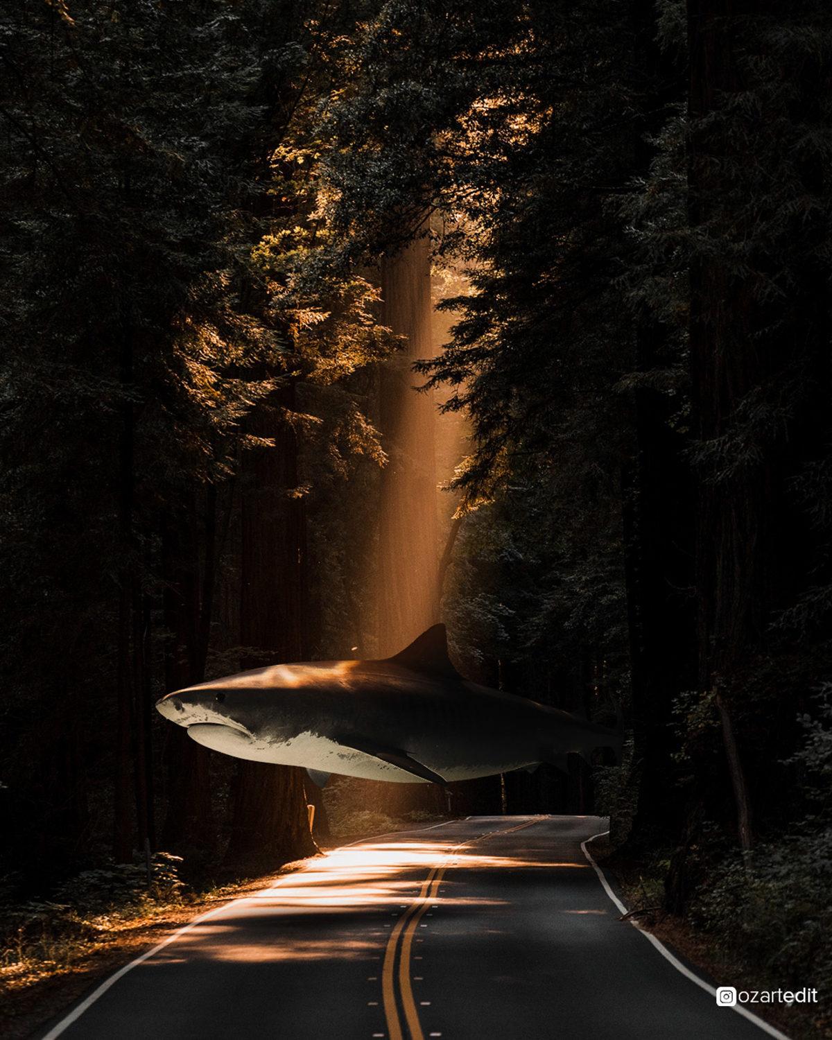 Photoshop’un Resmi Instagram Hesabının Çalışmasını Paylaştığı Türk Tasarımcıdan Birbirinden Büyüleyici Çalışmalar