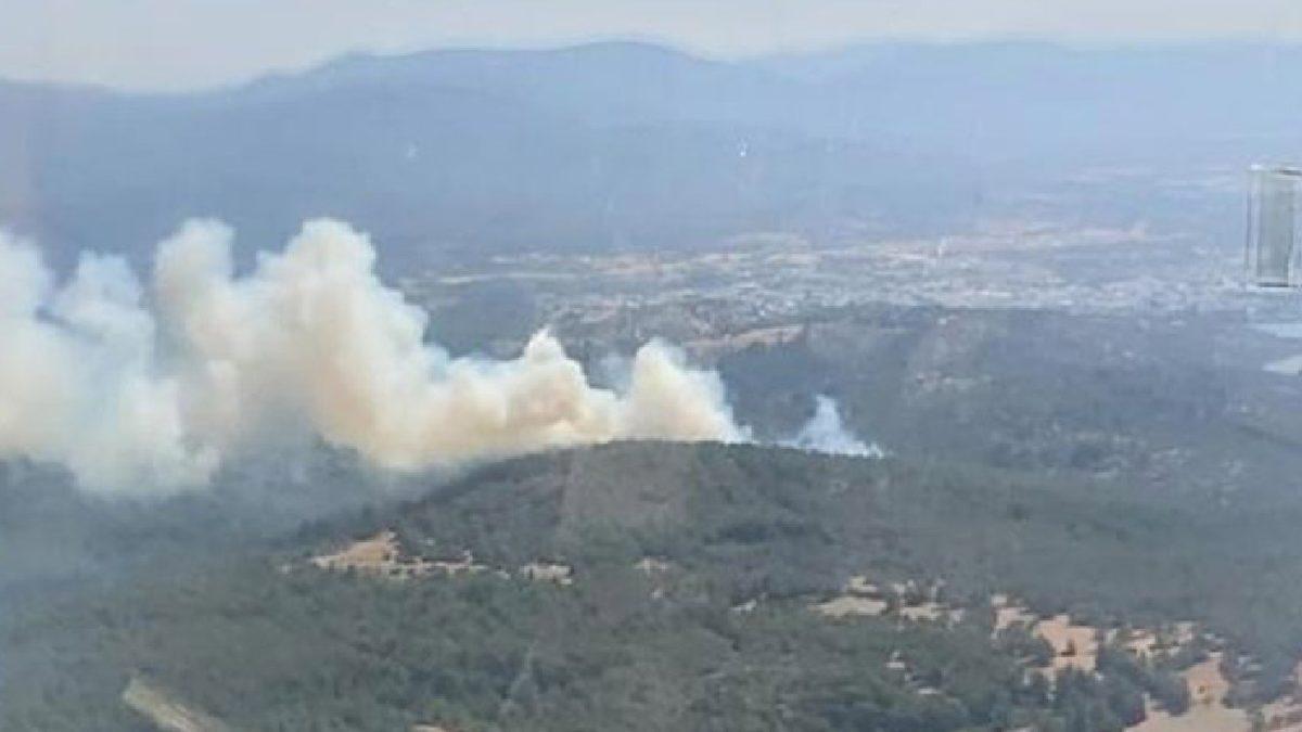 Bodrum’da Ormanlık Alanda Yangın: Müdahaleler Devam Ediyor