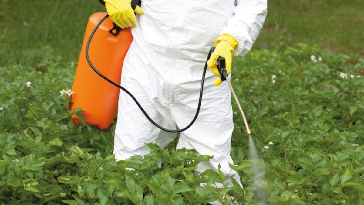 İnsanların İdrar Örneklerinde Kansere Yol Açtığı Düşünülen Bir Madde Bulundu: Tarım İlaçlarında Kullanılıyor!