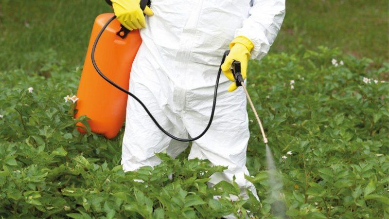 İnsanların İdrar Örneklerinde Kansere Yol Açtığı Düşünülen Bir Madde Bulundu: Tarım İlaçlarında Kullanılıyor!