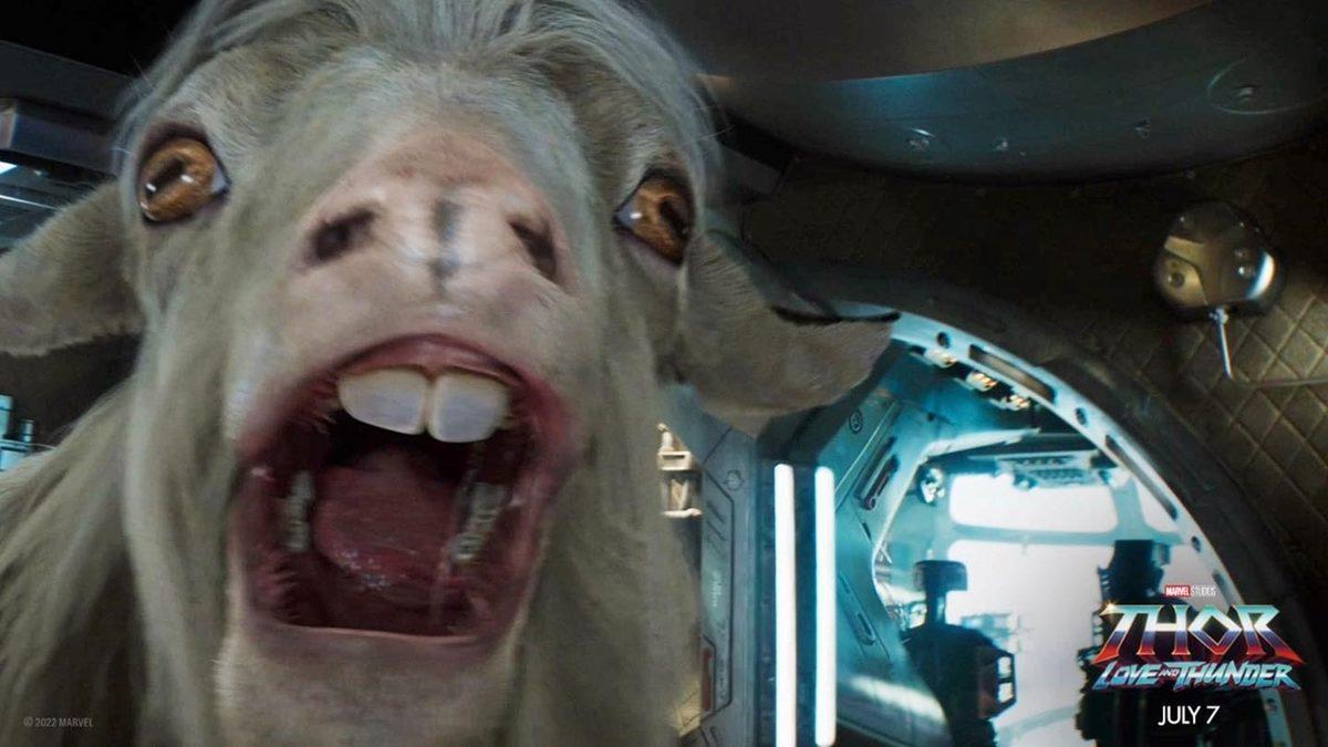 Keçilerin Gözleri Neden Bu Kadar Tuhaftır?