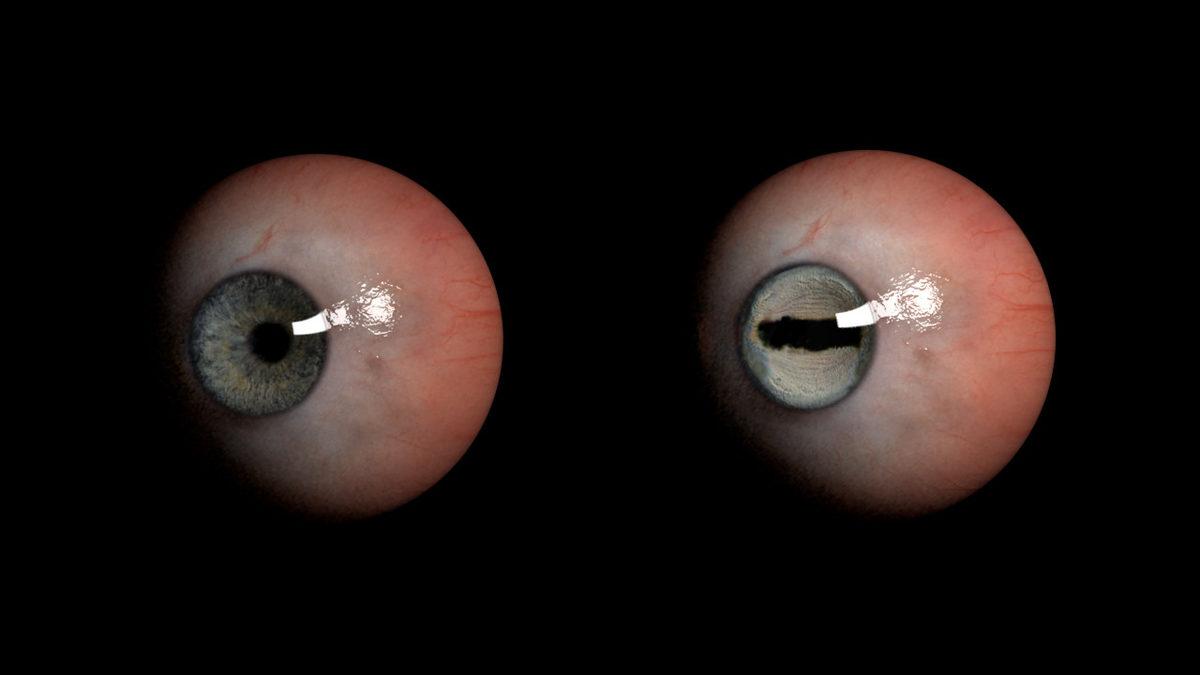 Keçilerin Gözleri Neden Bu Kadar Tuhaftır?