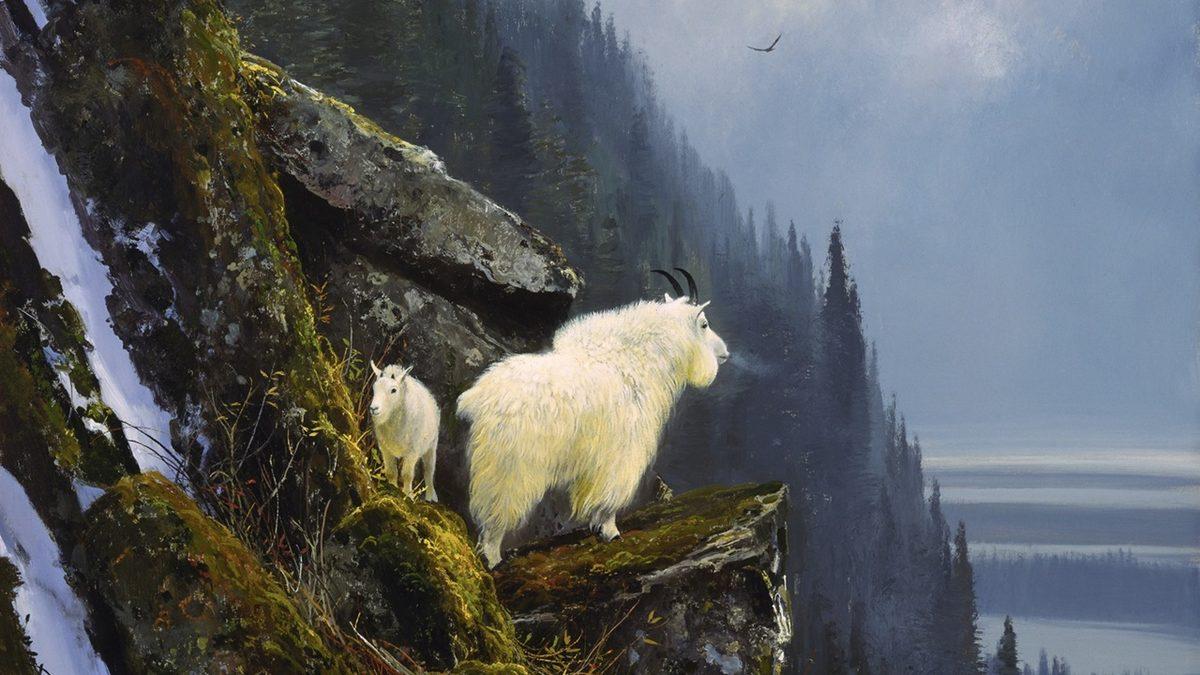 Keçilerin Gözleri Neden Bu Kadar Tuhaftır?