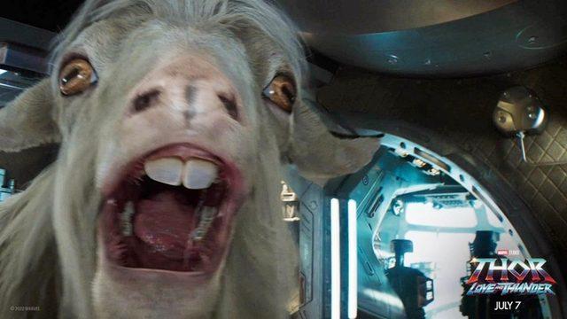 Keçilerin Gözleri Neden Bu Kadar Tuhaftır?