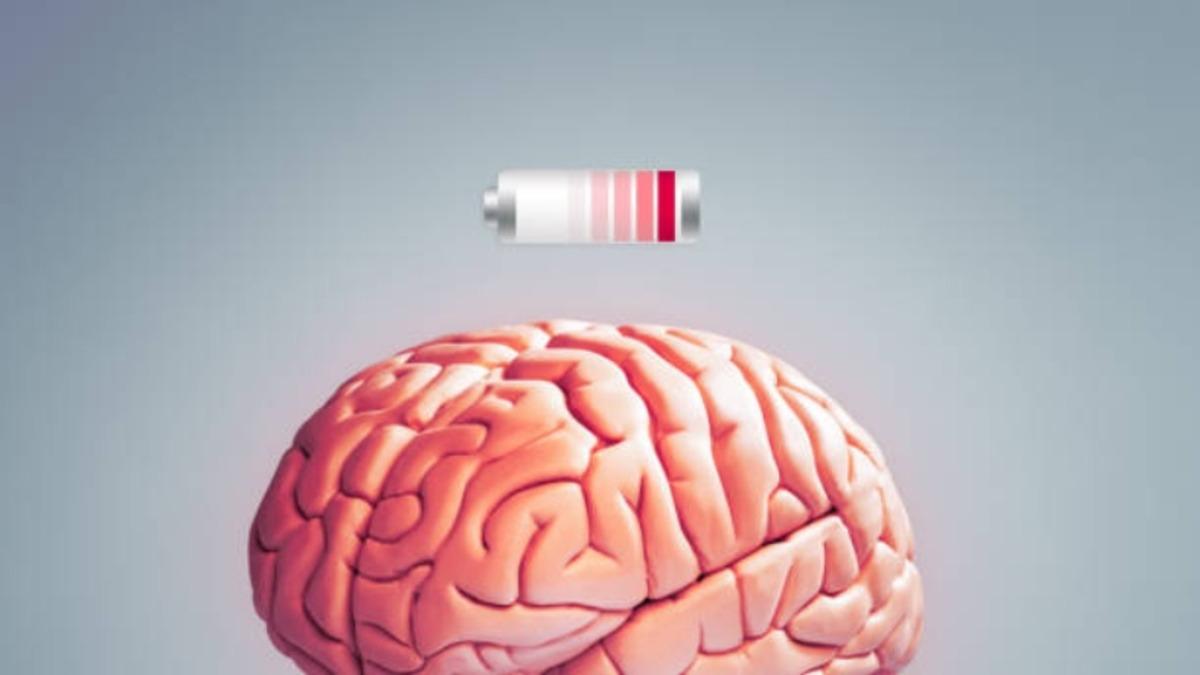 Beynimizin de Tıpkı Akıllı Telefonlar Gibi ’Düşük Güç Modu’ Olduğu Ortaya Çıktı!